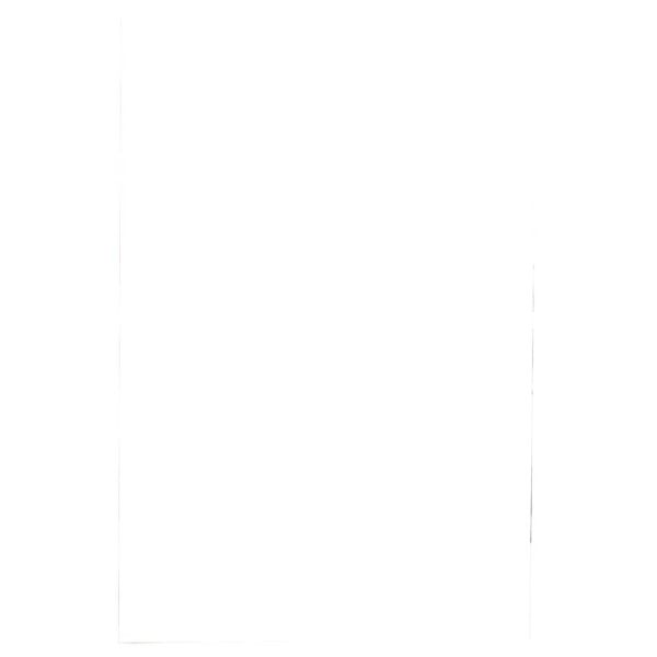 Pouches per plastificatrici Fellowes Standard Capture125 finitura lucida - 2x125 µm - A2 - Conf. 50 pz - 5309302