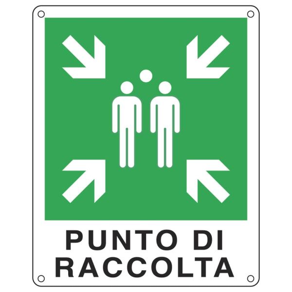 Cartello d'emergenza 25x31 cm Cartelli Segnalatori ''Punto di raccolta'' E20153X