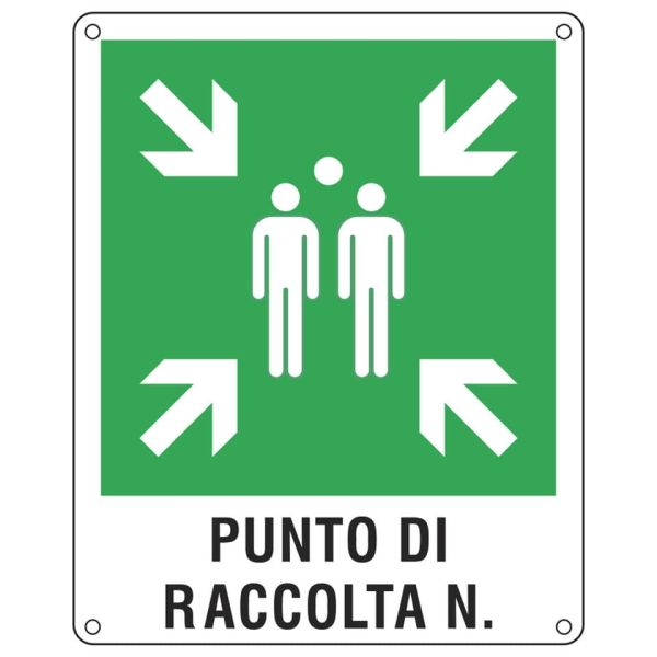 Cartello d'emergenza 40x50 cm Cartelli Segnalatori ''Punto di raccolta'' E20171Y