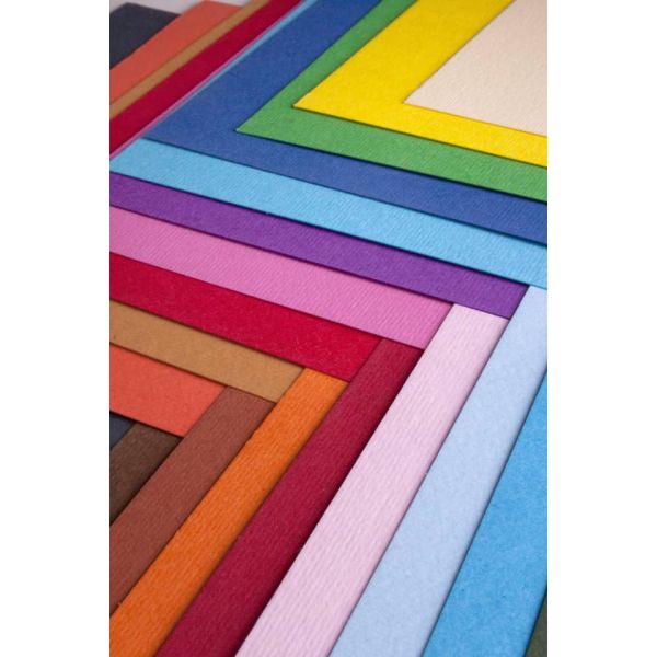 Cartoncino colorato Fabriano Elle Erre 50x70 cm 220 g conf. 20 fogli - ferro - 42450722
