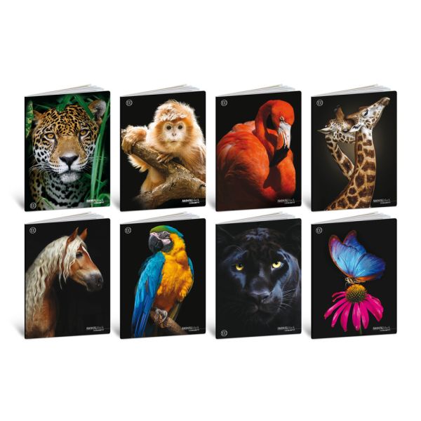 Maxi quaderni Blasetti Animali A4 18+1 ff carta 100 g/m² - conf. 10 pz - rigatura A - 8626